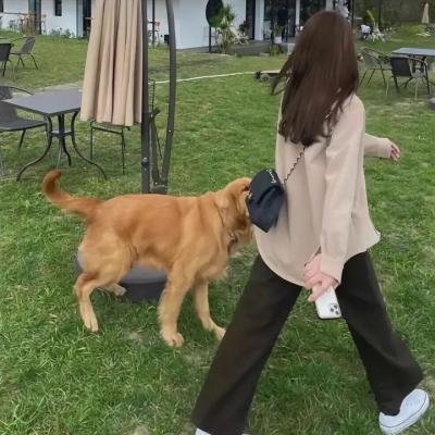 弱者的理由